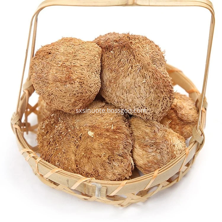 Hericium Erinaceus Extract Hericium Erinaceus Extract