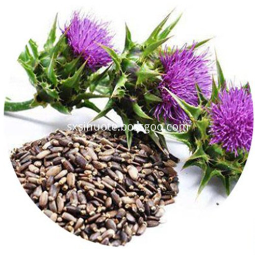 Milk Thistle Seed Extract Milk Thistle Seed Extract