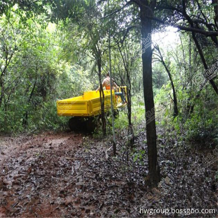 Mini Multi-function Dump Truck Mini Multi-function Dump Truck