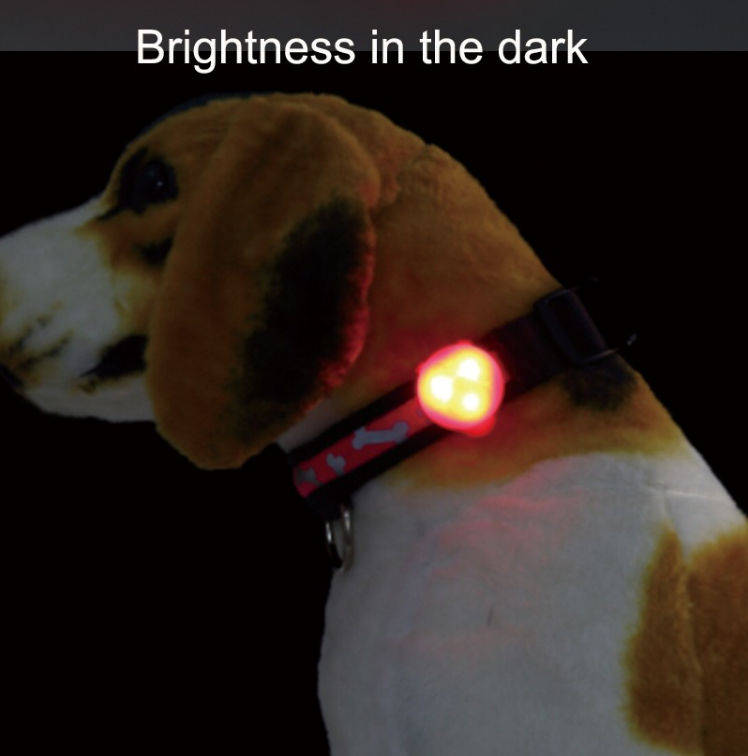 LED pet tag 