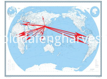 marketing networks 02