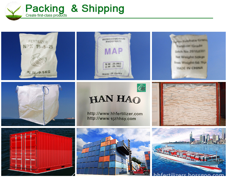 Packing & Shipping Packing & Shipping
