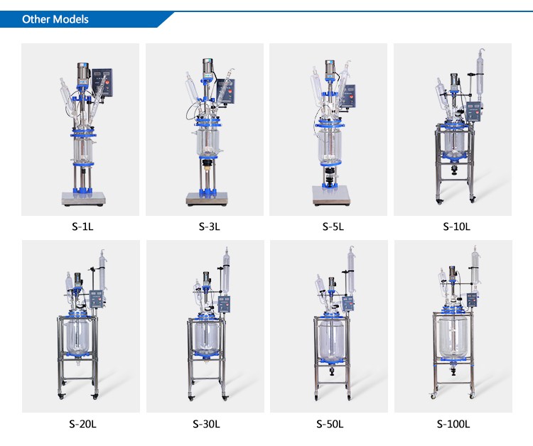 Mini Continuous Stirred Electric Heating Glass Reactor