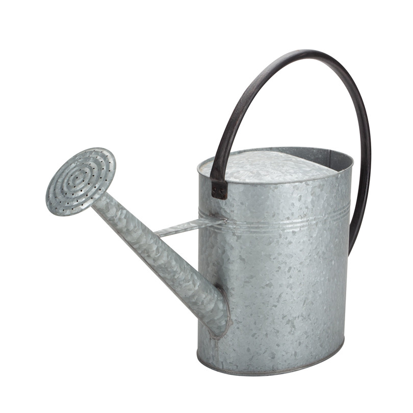 Galvanized Vintage Watering Can