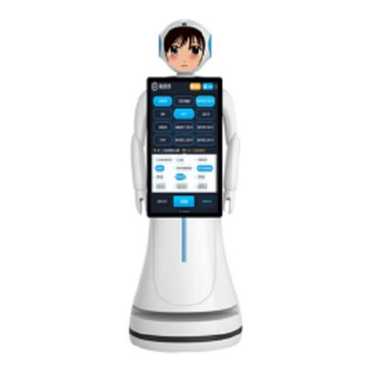 Company Interactive Talking Robots