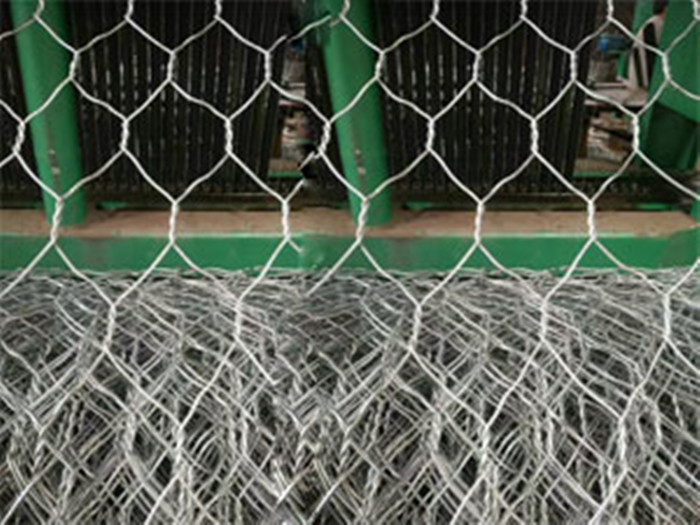 hexognal wire mesh 