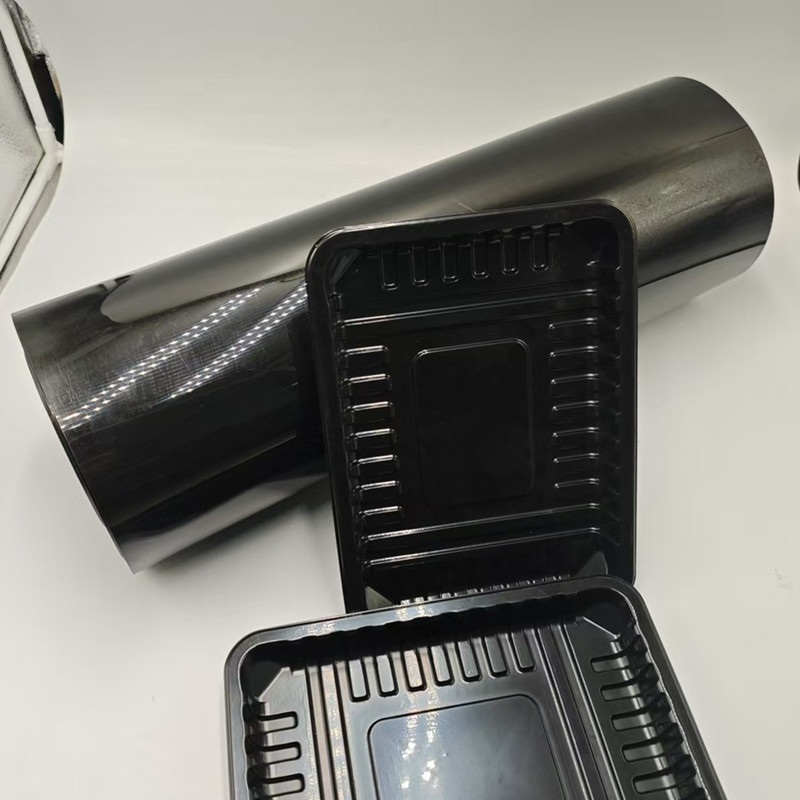 PP 24121005 PP 24121005