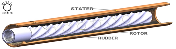 downhole motor