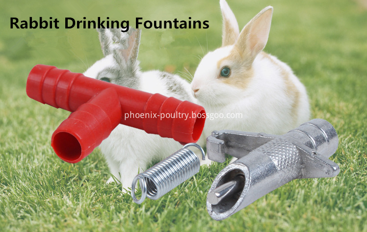 RABBIT DRINKING SYSTEM