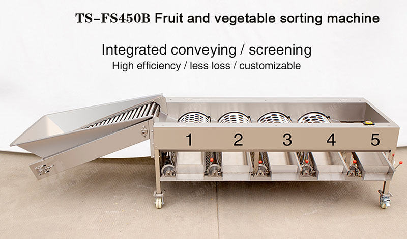 fruit sorter fruit sorter