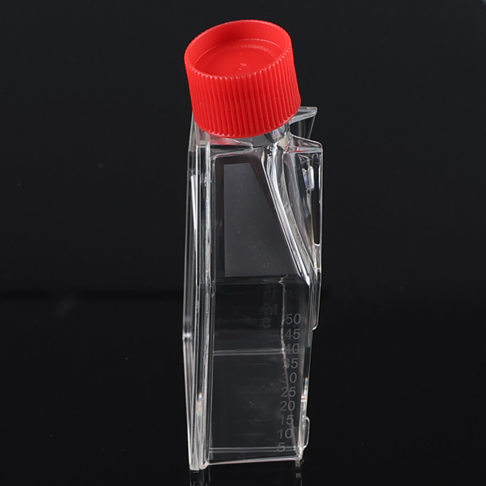 T25 cell culture flasks for adherent cells