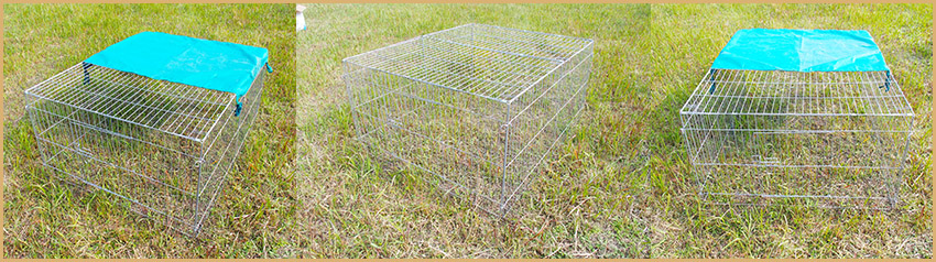 cercadinho de coelho rabbit playpen