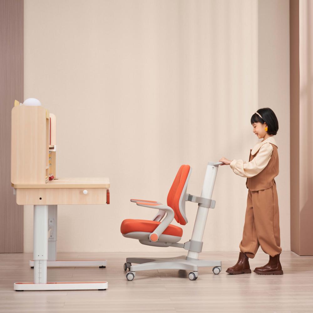 ergonomic desk chair for home office