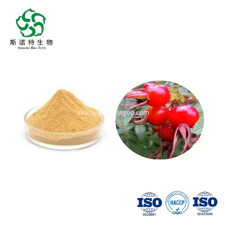 Rose Hip Extract Rose Hip Extract