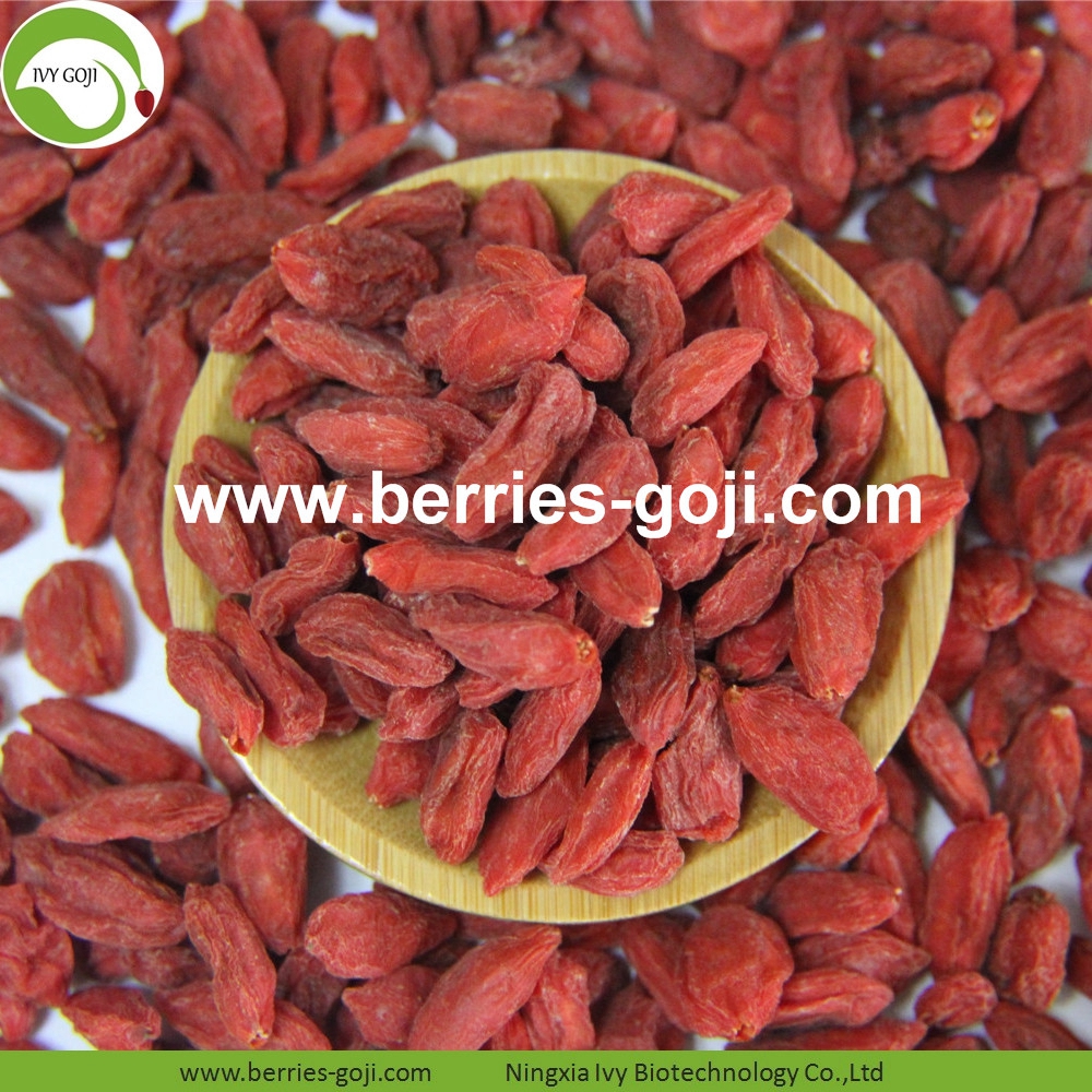 goji berry goji berry