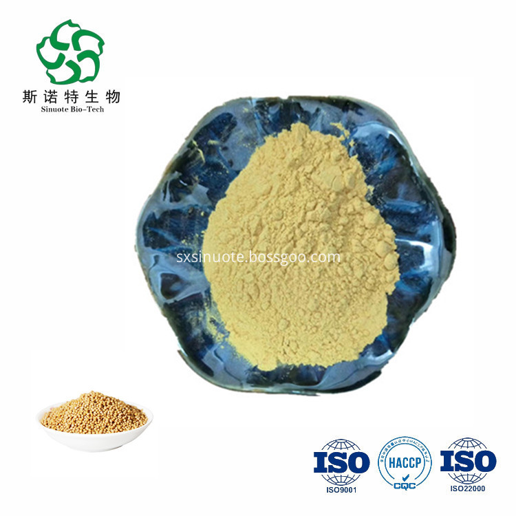 Yellow Mustard Extract Powder Yellow Mustard Extract Powder