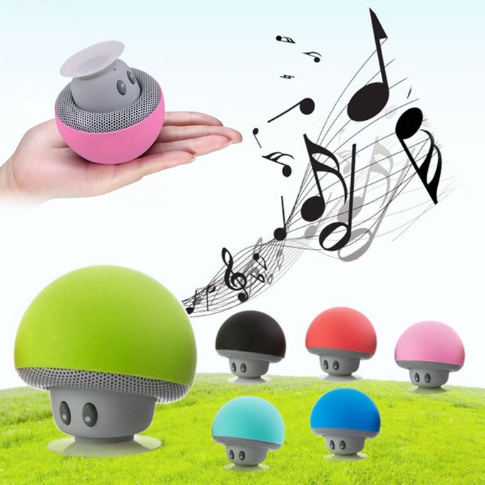 Mini Bluetooth Speaker