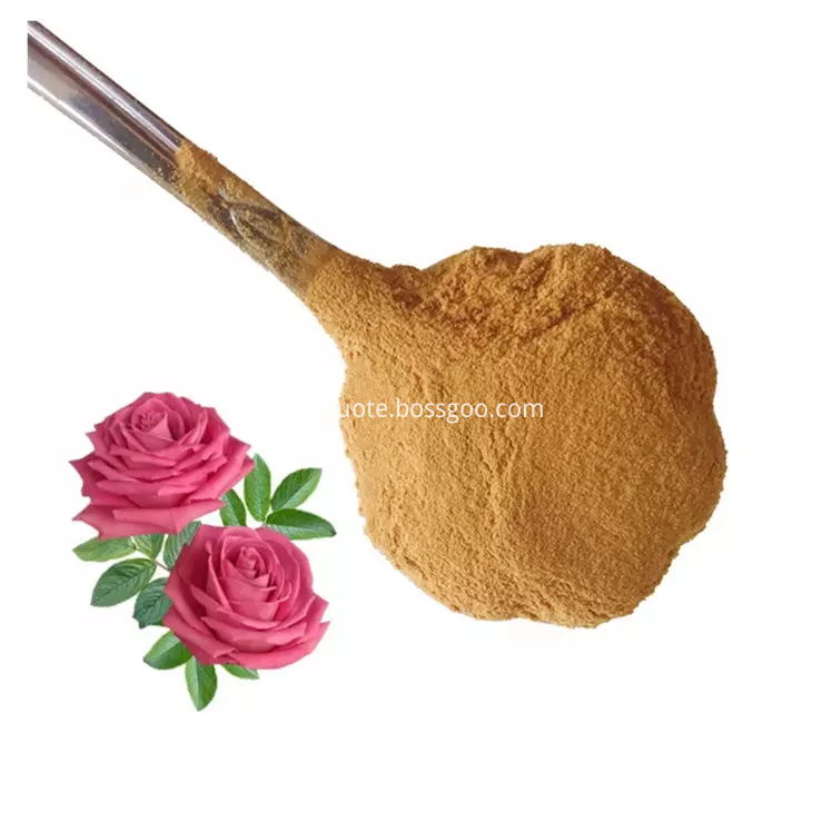 Rose Extract Powder Rose Extract Powder