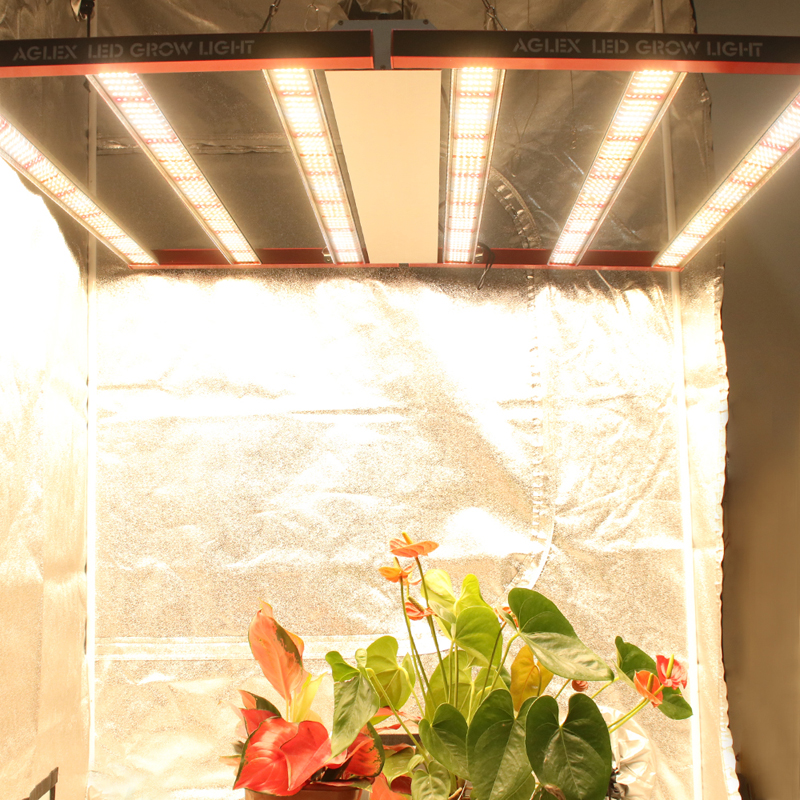 Led Grow Light