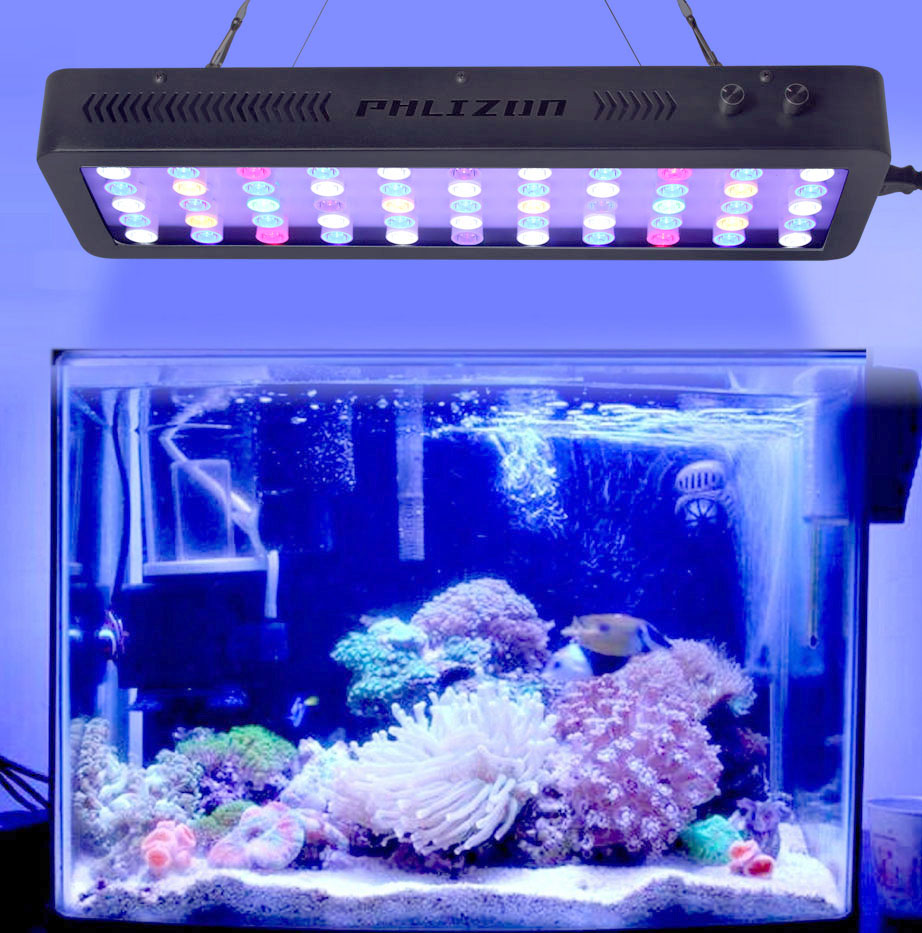 Led Reef Lighting