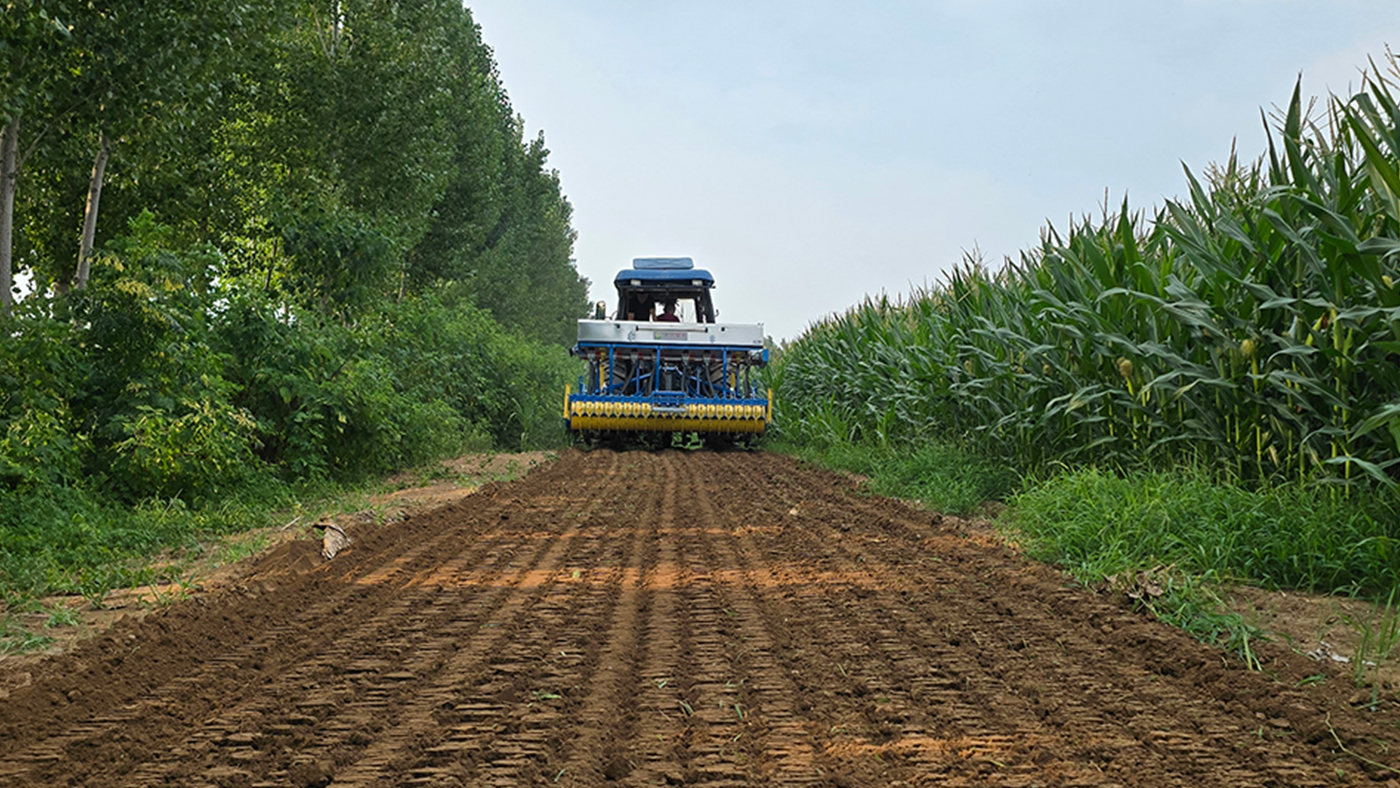 Transparent Fertilizer Hoppe Transparent Fertilizer Hoppe