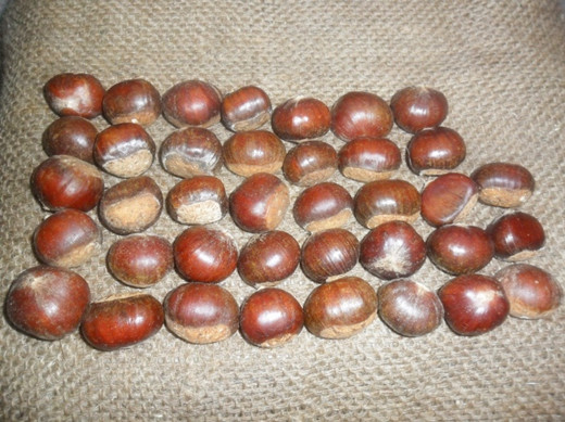 fresh chestnut 30-40pcs