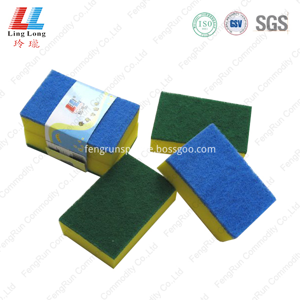 Green Sponge Green Sponge