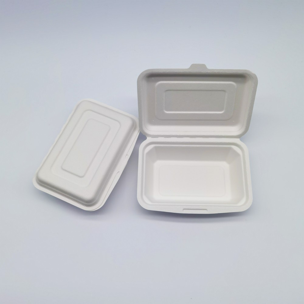 disposable food box06 disposable food box06