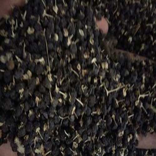 야생 검은 goji 장과 wild black goji berry