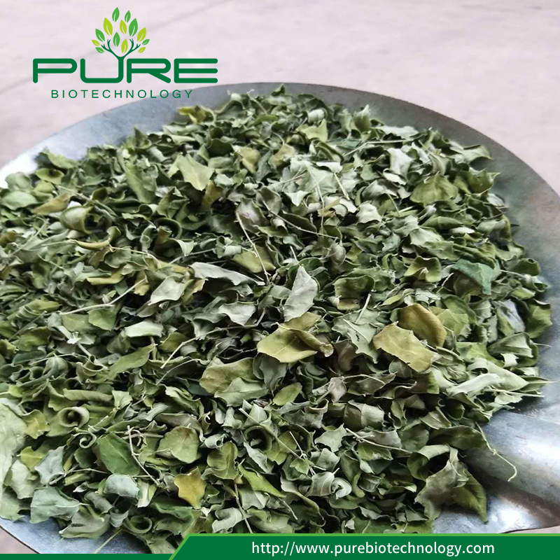 Moringa Oleifera Dried Leaves 100% Natural1 Moringa Oleifera Dried Leaves 100% Natural1