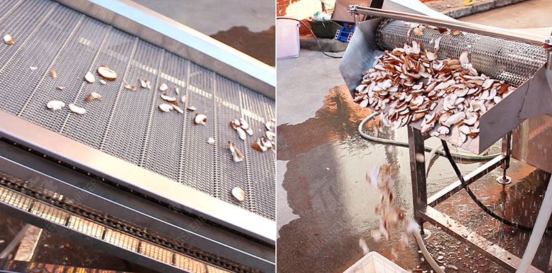 automatic mushroom slicing machine automatic mushroom slicing machine