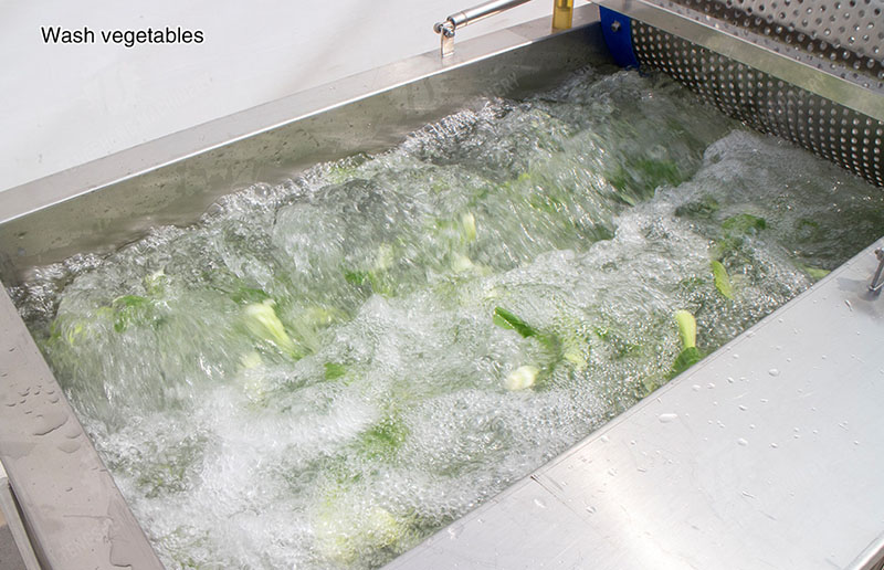 continuous vegetable washing machine continuous vegetable washing machine