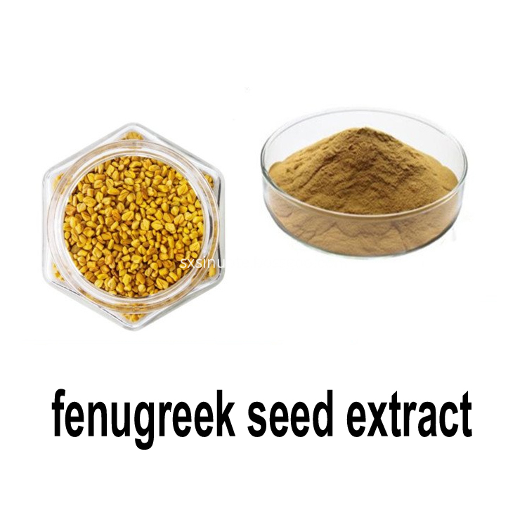 Fenugreek Seed Extract Fenugreek Seed Extract