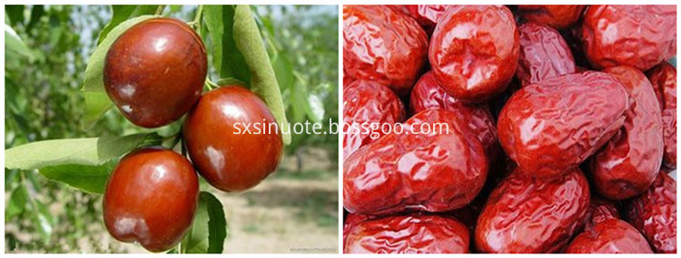 Red Jujube Powder Red Jujube Powder