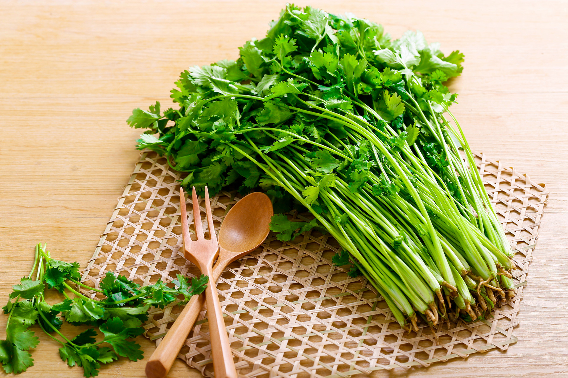 Coriander Coriander