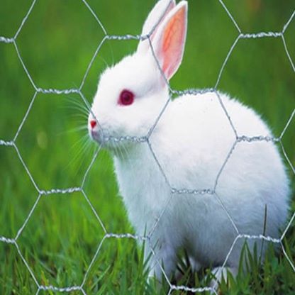 Rabbit Hexagonal wire mesh Rabbit Hexagonal wire mesh