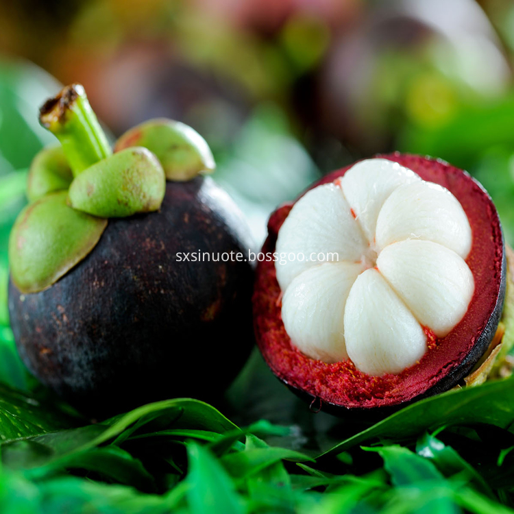 Mangosteen Extract Mangosteen Extract