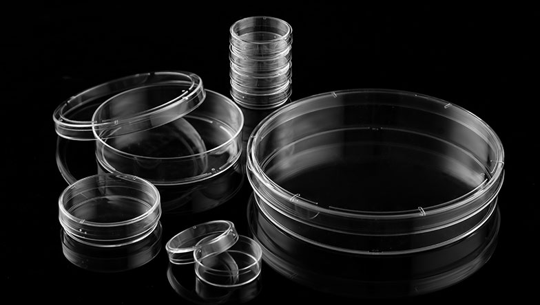 cell culture dishes