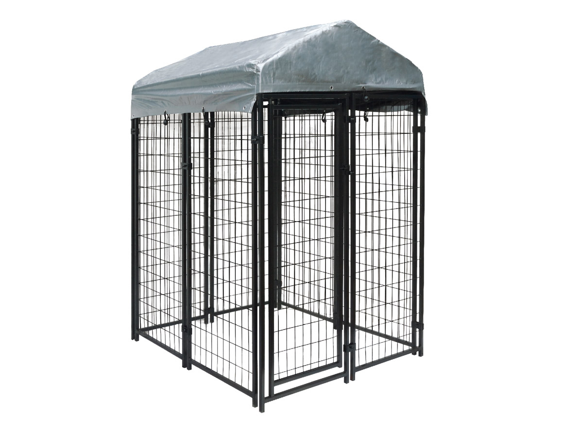 dog kennel cage