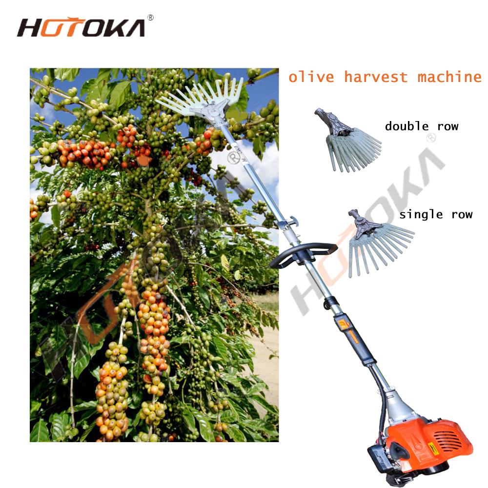 Olive Harvester Jpg Olive Harvester Jpg