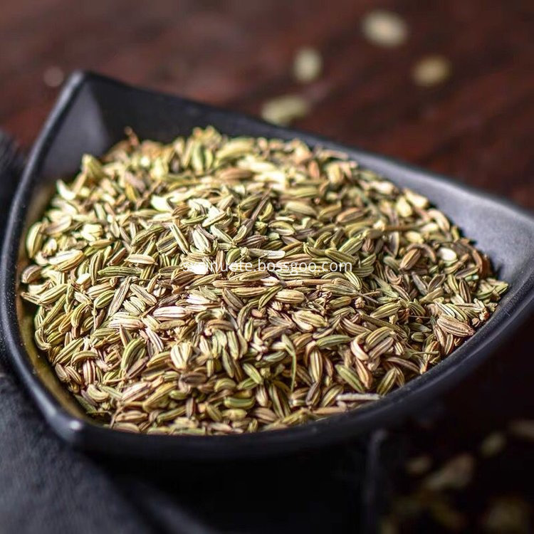 Fennel Seed Extract Fennel Seed Extract