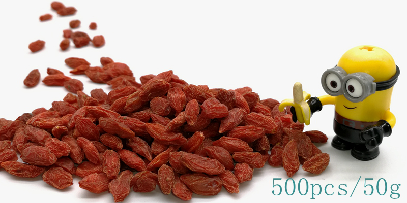 What  Is  A  Goji  Berry