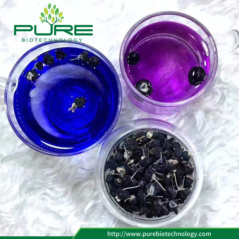 Goji berry hitam organik di dalam air Organic Black goji berry in water