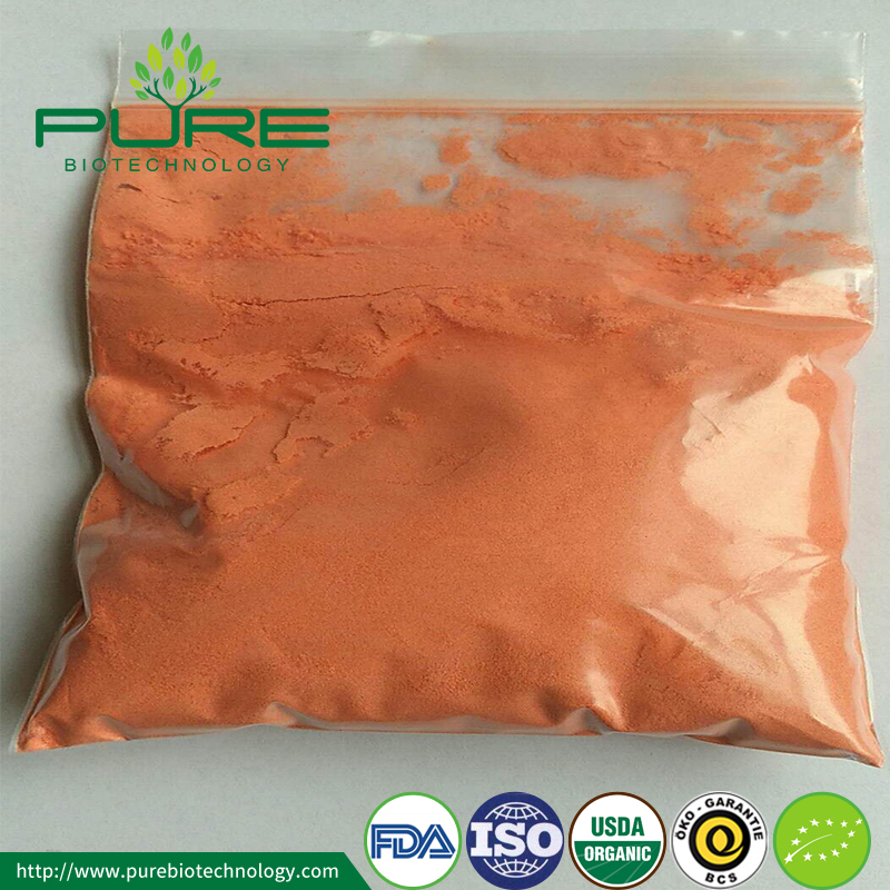 Goji Berry Powder 4 Goji Berry Powder 4