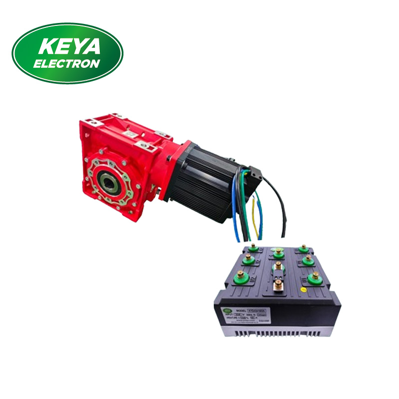 Servo Motor with Brushless Motor Controller And Worm Gear Box Servo Motor with Brushless Motor Controller And Worm Gear Box