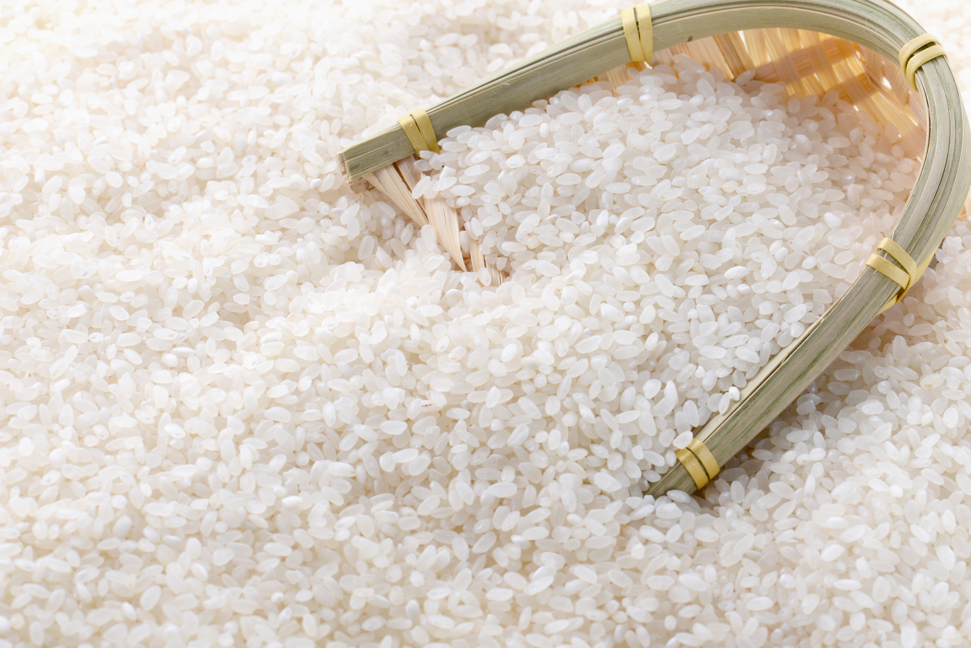 Rice Rice