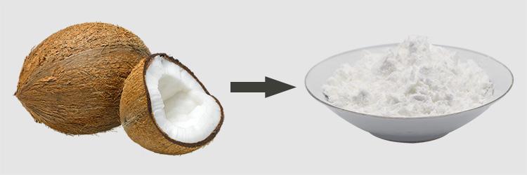 Coconut Water Protein Coconut Water Protein