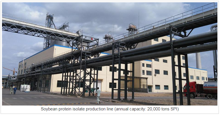 Ligne de production d'isolats de protéines de soja Soybean protein isolate production line
