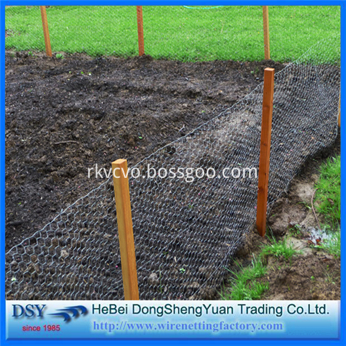 Hexagonal Wire Mesh 