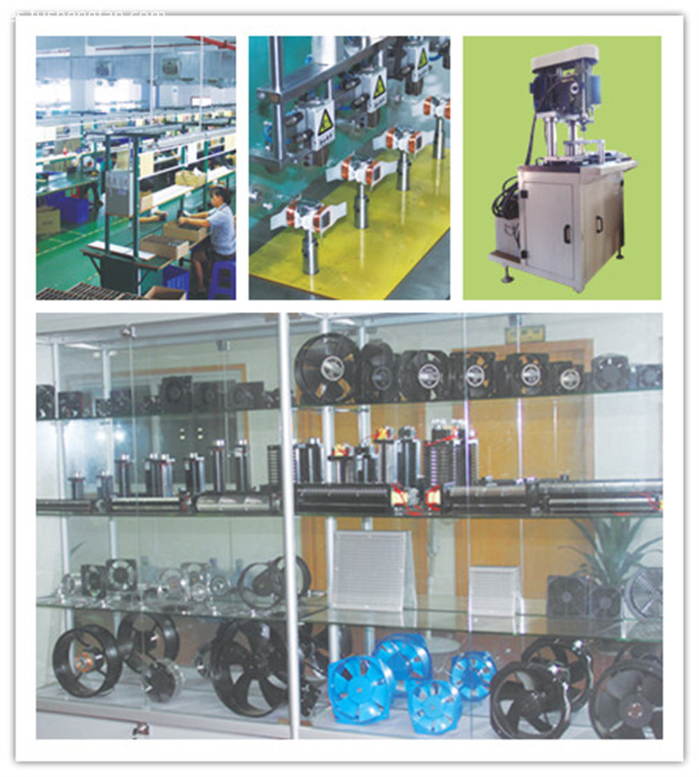 Imagen de la compañía Company Picture